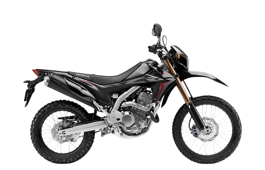 Support for HONDA CRF 250 L YEAR 2020-2022